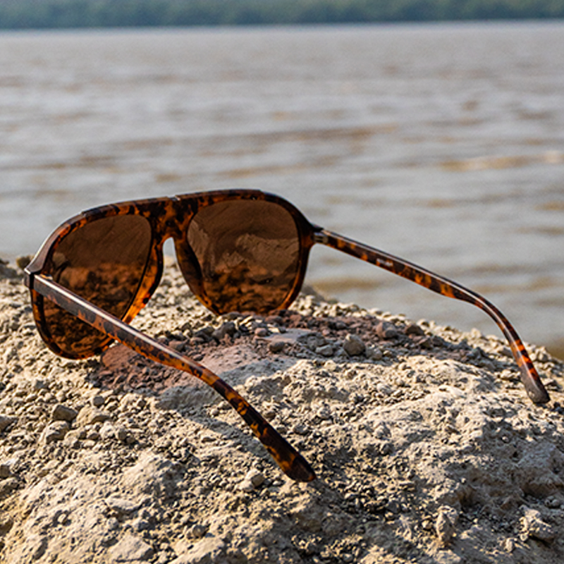 Warrior – Brown Paladin